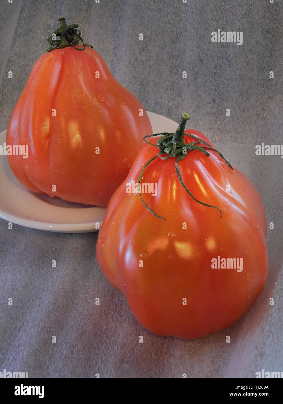 Les tomates coeur têtu rouge. Juste lavé. Sur la plaque Banque D'Images