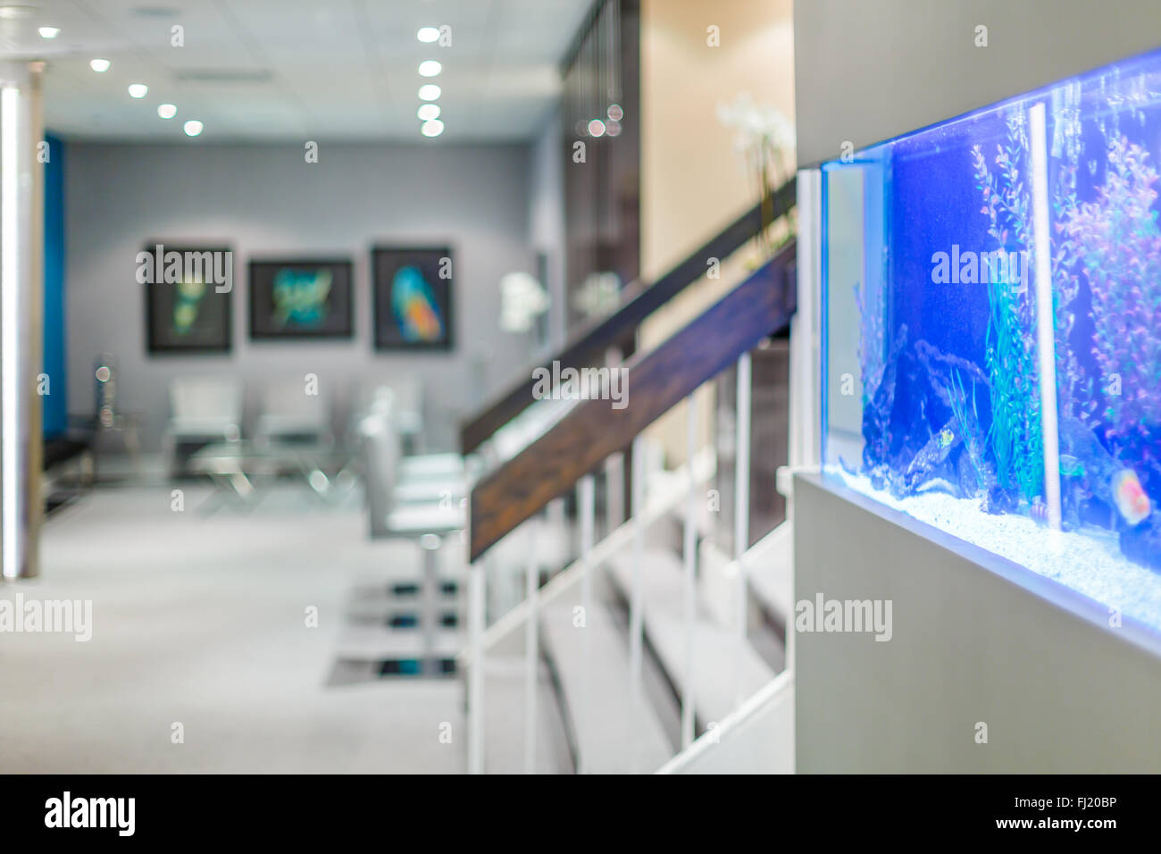 Office interior design avec aquarium Banque D'Images