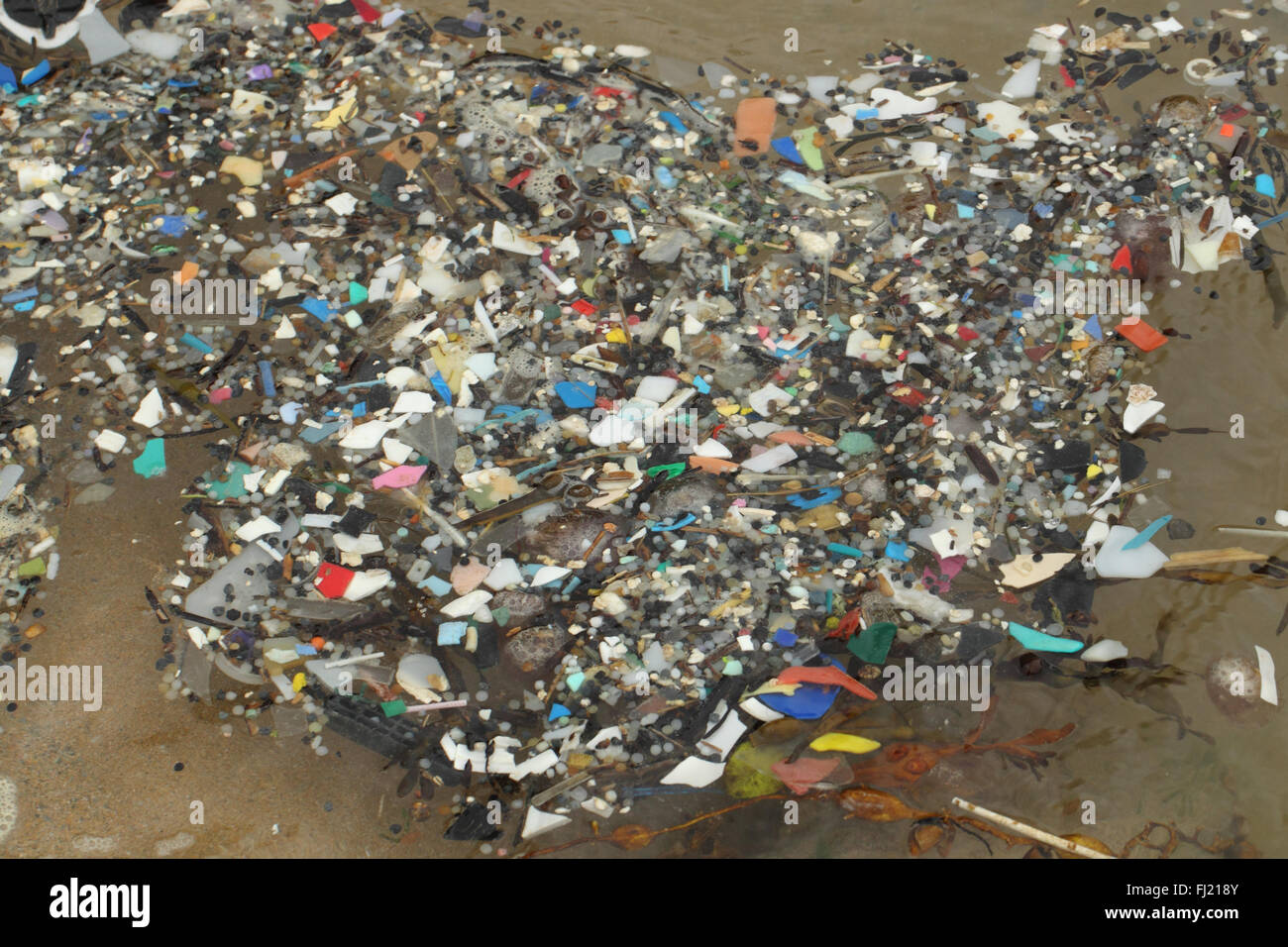 Les micro-plastiques dans la région de Cornish rockpool , Newquay Cornwall UK Décembre Banque D'Images