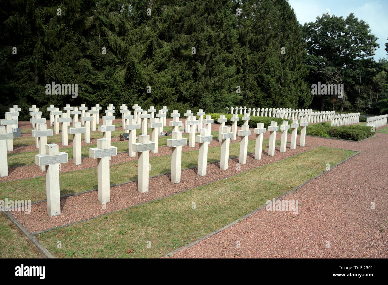 Lignes de pierres tombales dans le cimetière militaire polonais, Lommel, Belgique. Banque D'Images