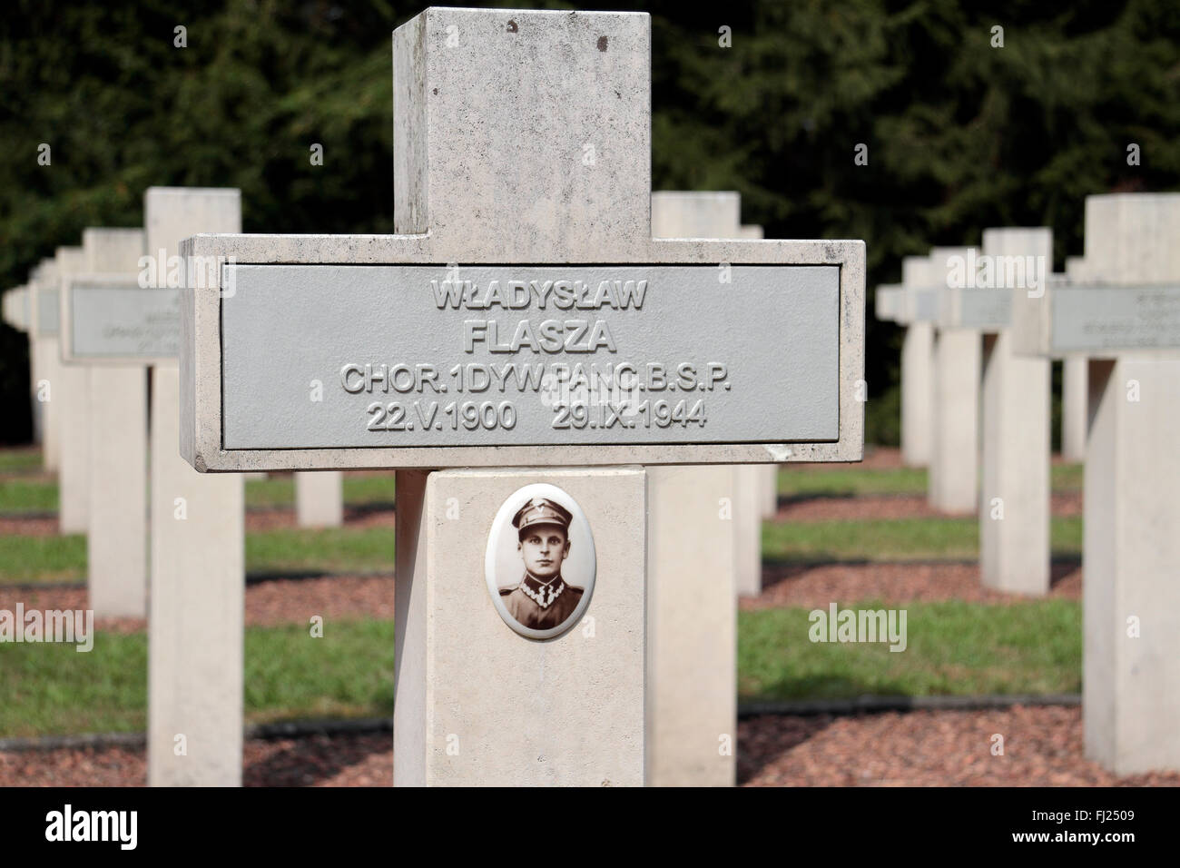 Près d'une pierre tombale/grave avec une photographie dans le cimetière militaire polonais, Lommel, Belgique. Banque D'Images