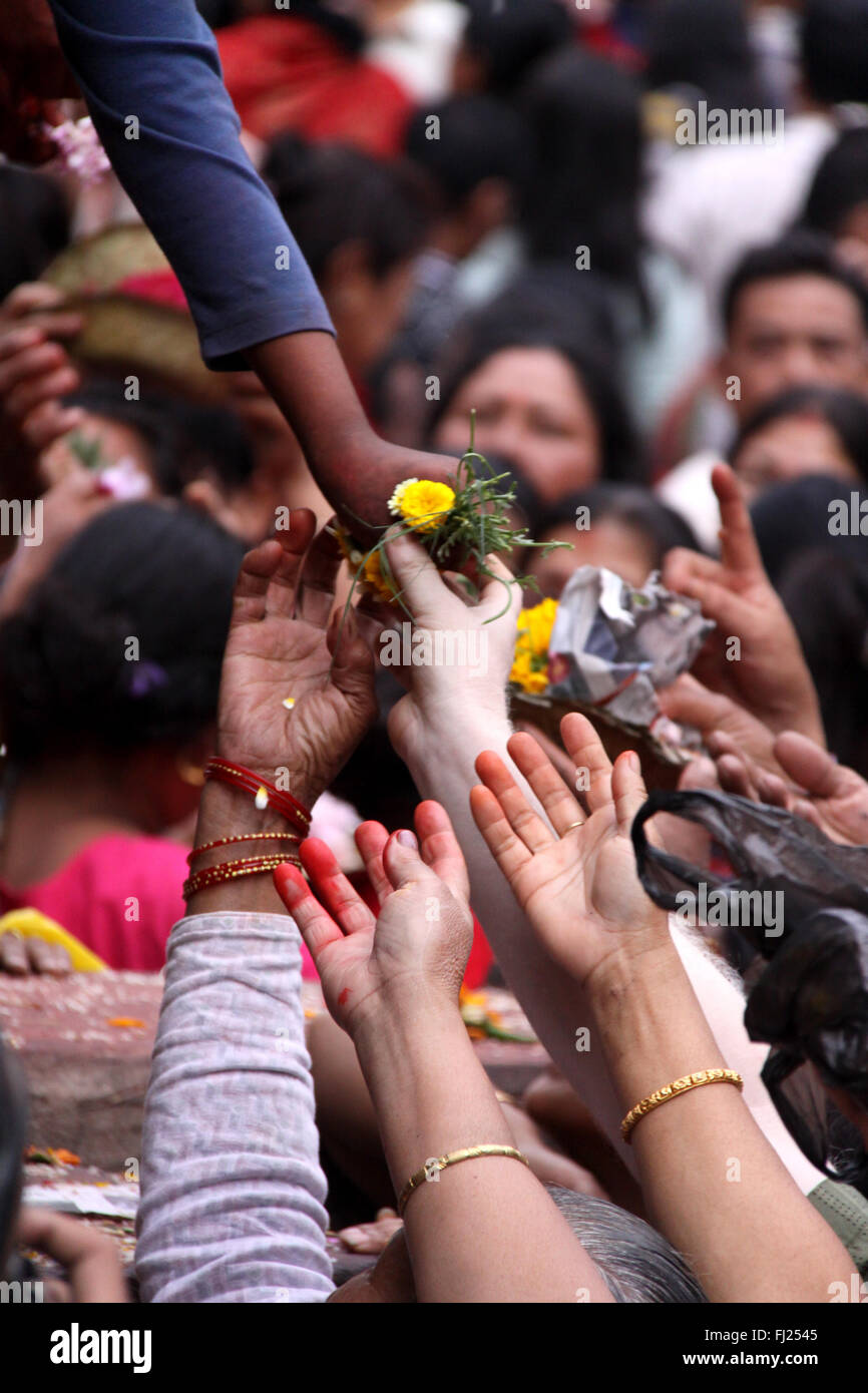 Mains lors d'un festival à Patan, Népal Banque D'Images