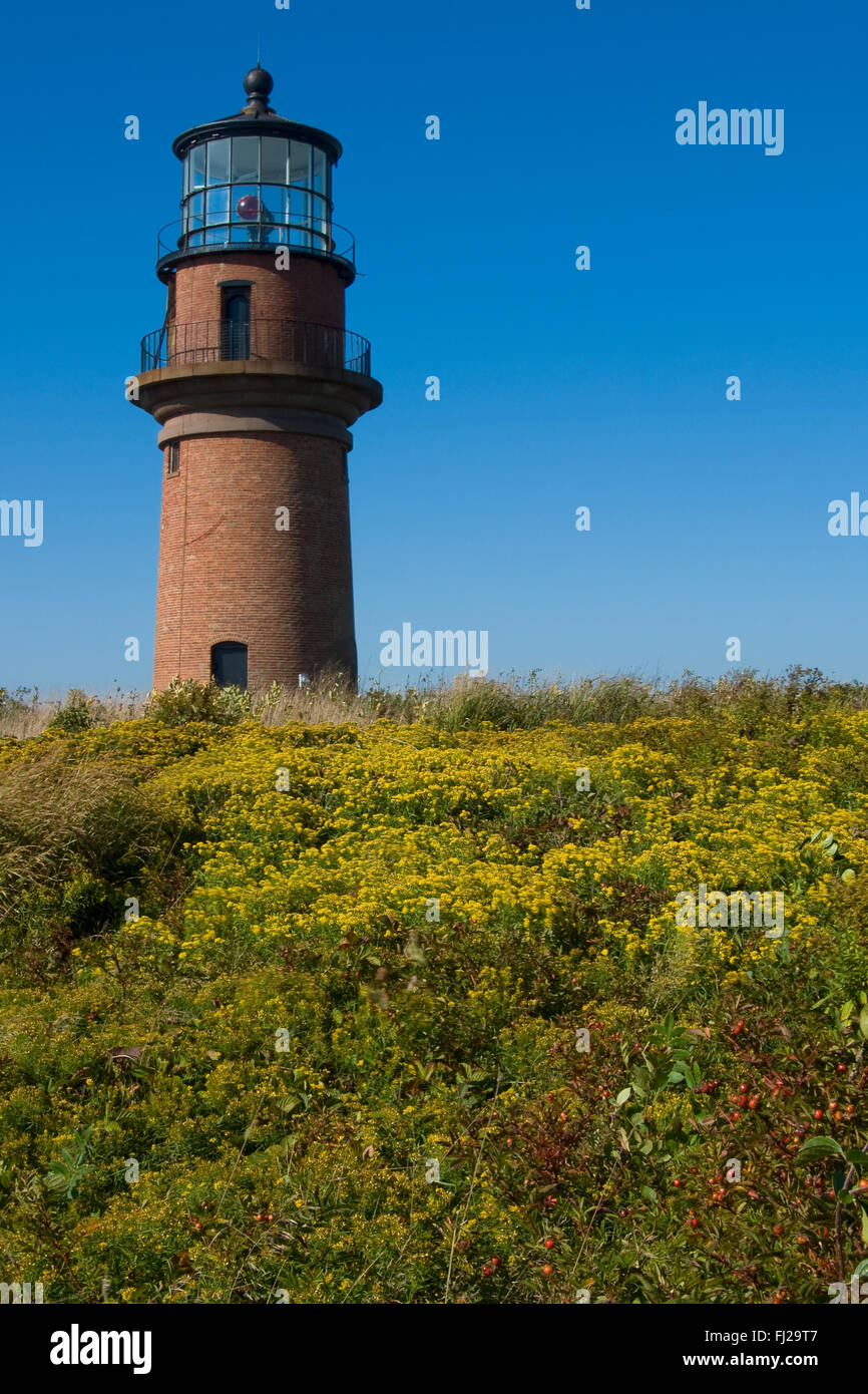 L'île de Martha's Vineyard Aquinnah phare tour de briques plus de fleurs sauvages sur une journée d'été. La balise est construit sur des terres amérindiennes Wampanoag. Banque D'Images