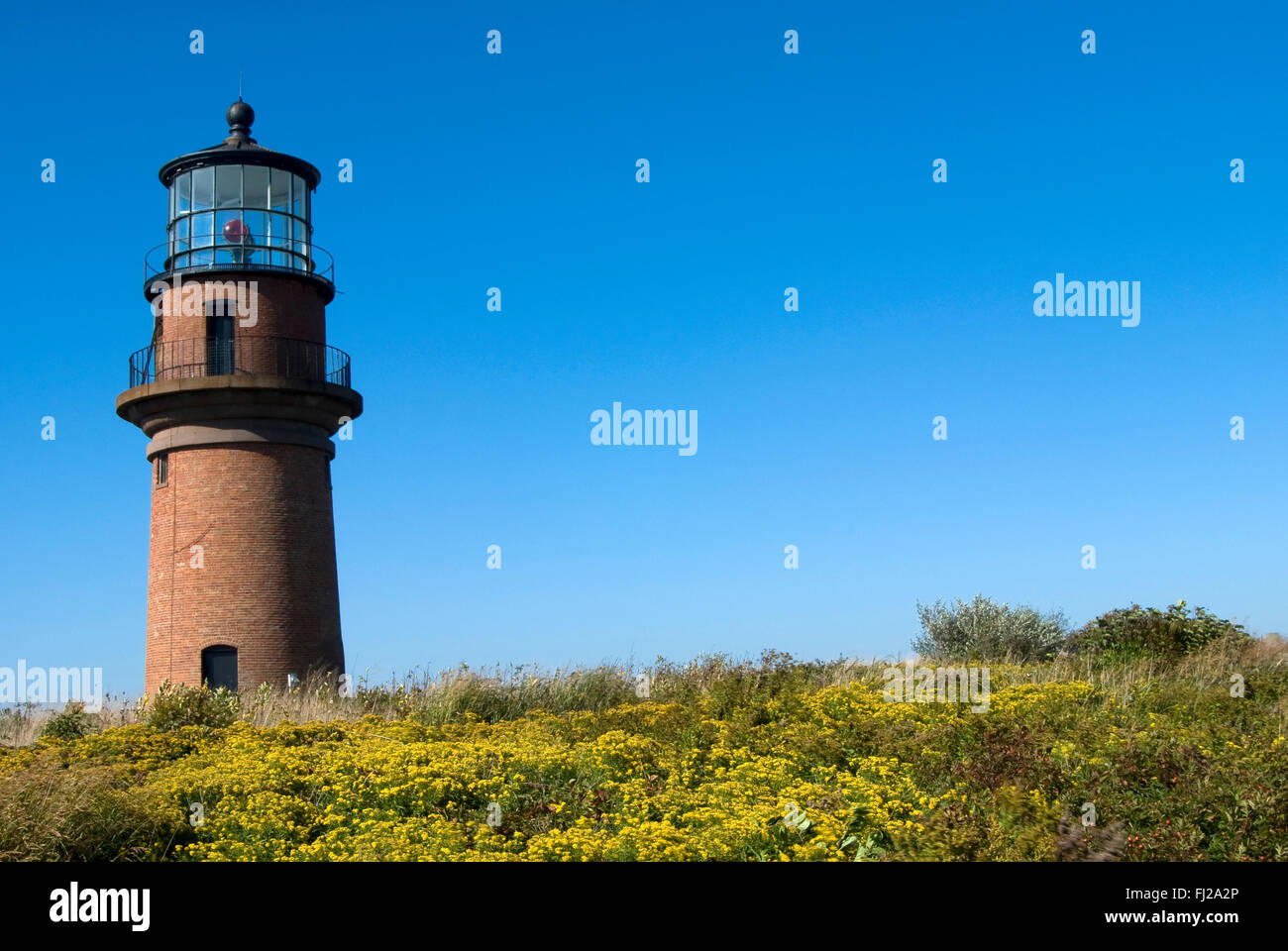 Gay-Tête (Aquinnah) phare est au-dessus de fleurs sauvages sur Martha's Vineyard, Massachusetts. La balise se trouve sur des terres tribales Wampanoag. Banque D'Images