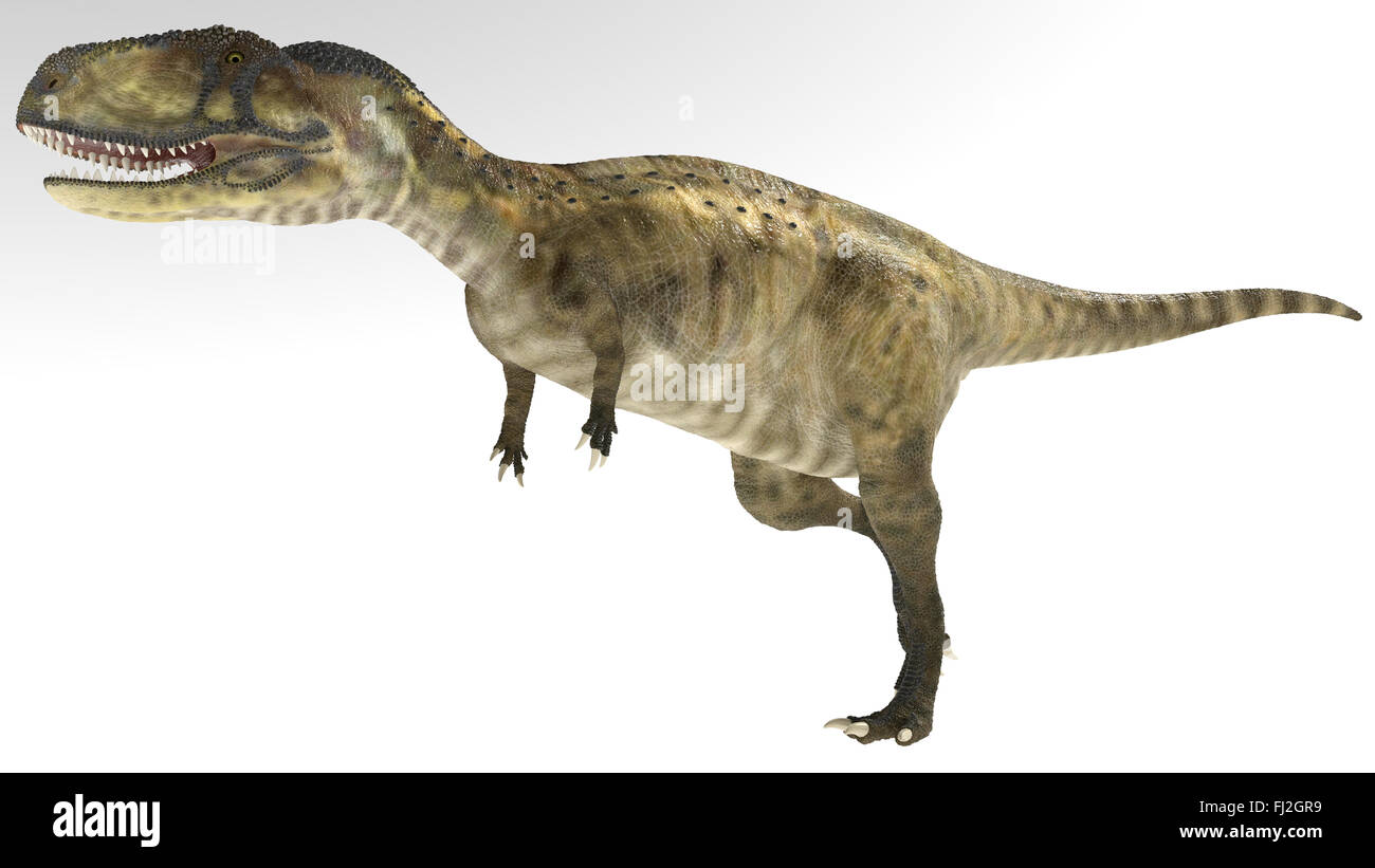 Abelisaurus est un genre de dinosaure théropode abelisauridé prédateur vivant à la fin du Crétacé Banque D'Images