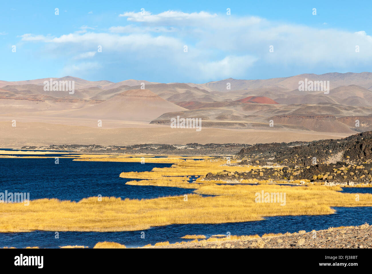 Paysage de la Puna désert, Argentine Banque D'Images