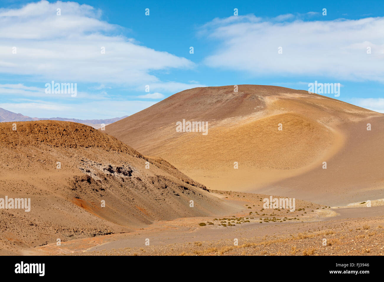Le désert de la Puna, l'Argentine, l'Amérique du Sud Banque D'Images