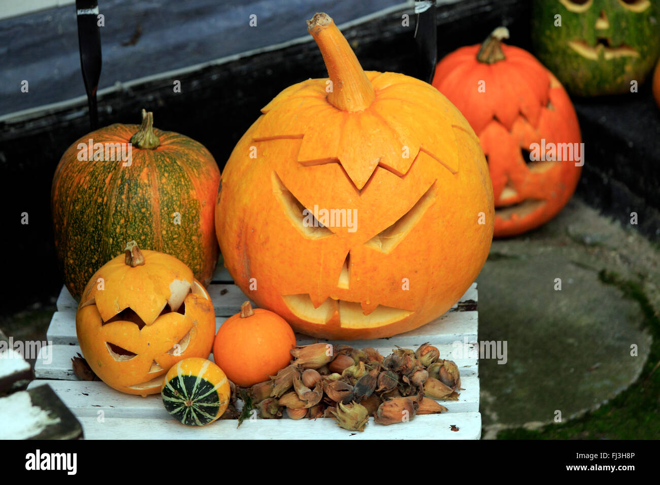 Halloween pumpkins sculpté le Nord du Jutland au Danemark Aalborg Banque D'Images