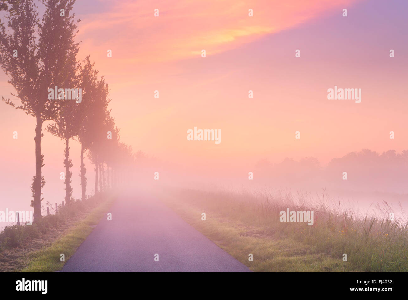 Un lever de soleil brumeux en typique paysage de polders dans le Beemster en Hollande. Banque D'Images