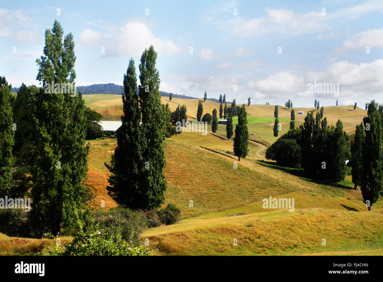 Hobbiton movie set, le Shire en Nouvelle Zélande Banque D'Images