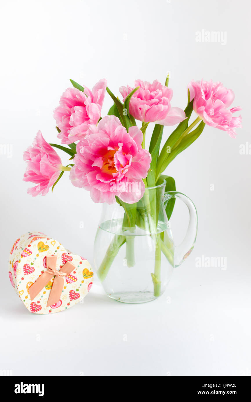 Tulipe rose dans un pot sur un fond blanc avec un coeur fort Banque D'Images