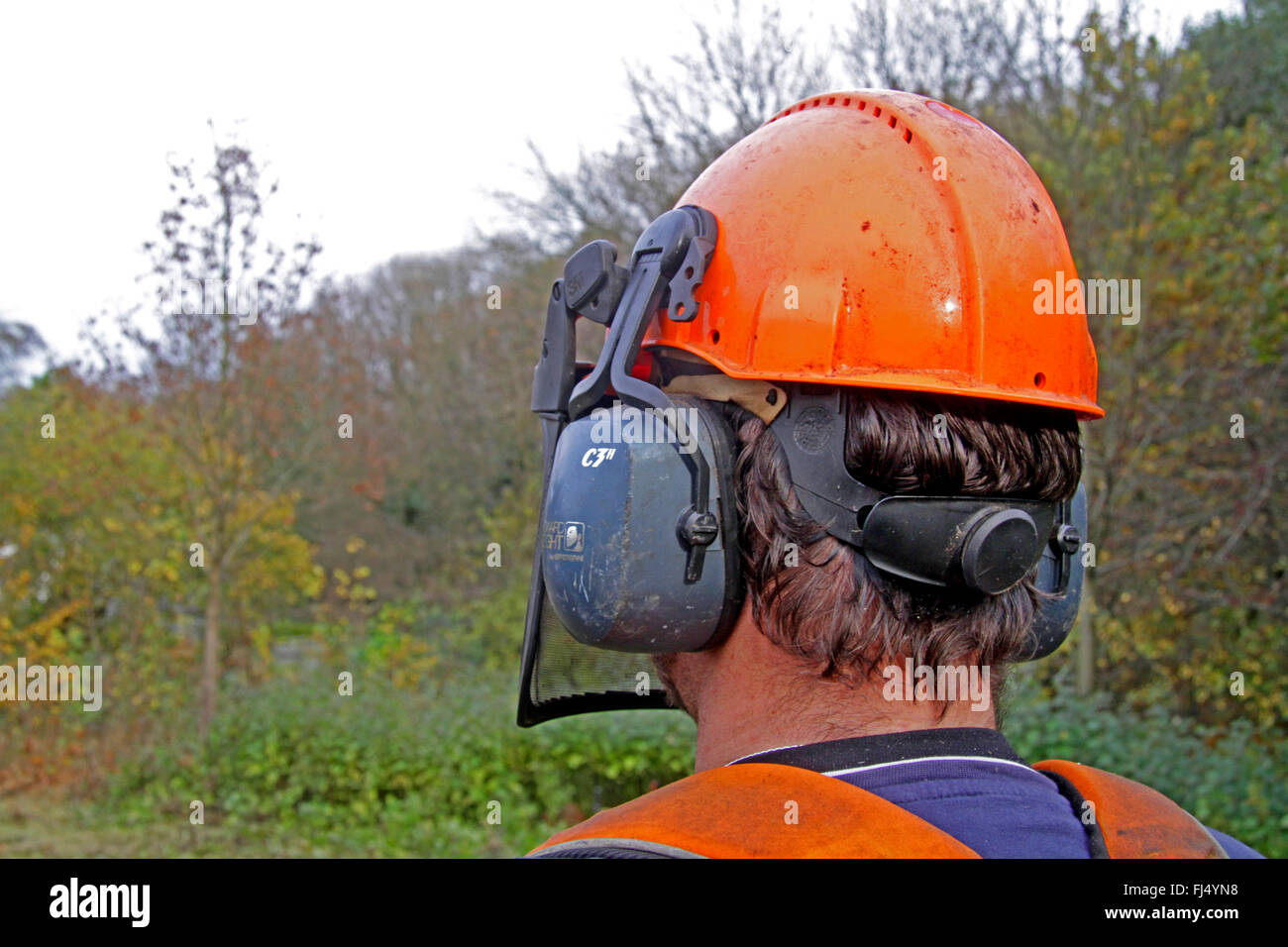 Travailleur forestier avec protection de la tête, Allemagne Banque D'Images