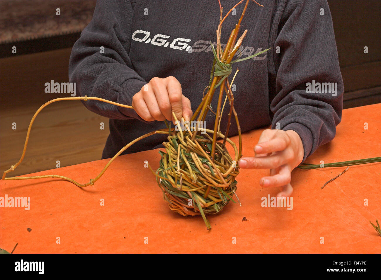 Le matériel du nid de pie, Ball boy tressage des branches de saule, Allemagne Banque D'Images