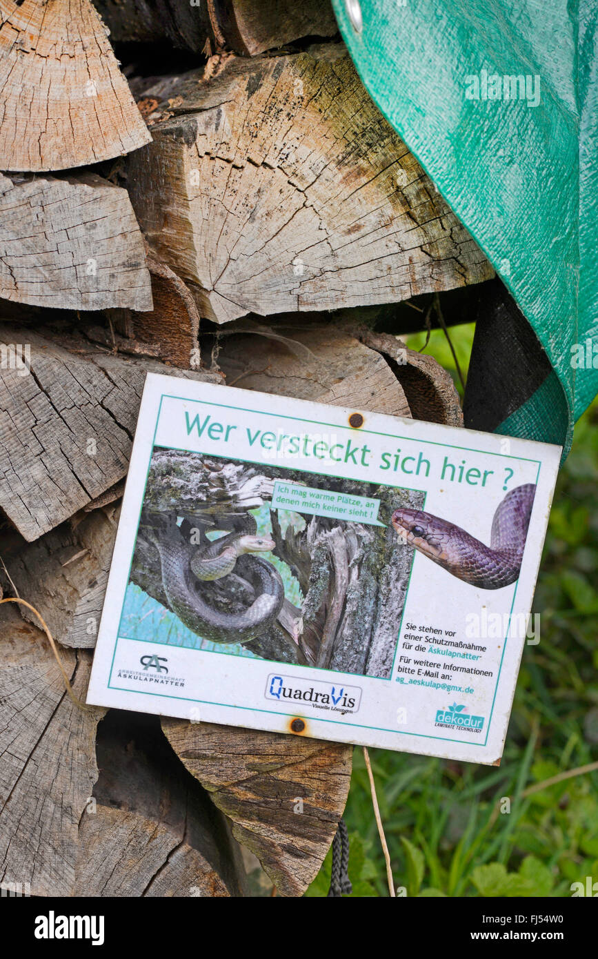 Aesculapian snake (Elaphe longissima, Zamenis longissimus), des panneaux d'information d'un projet de protection pour la Aesculapian snake, Allemagne, Odenwald, Hirschhorn am Neckar Banque D'Images