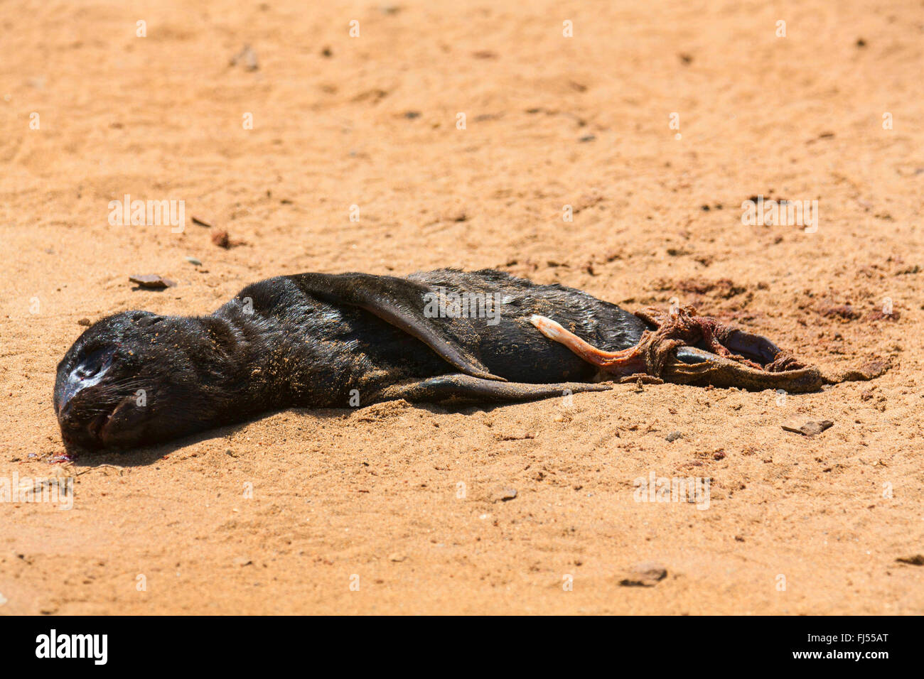 Mort Ne Banque D Image Et Photos Alamy