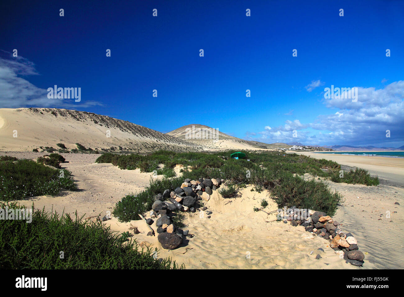 La plage de Sotavento, Playa de Sotavento, Fuerteventura, Îles Canaries Banque D'Images