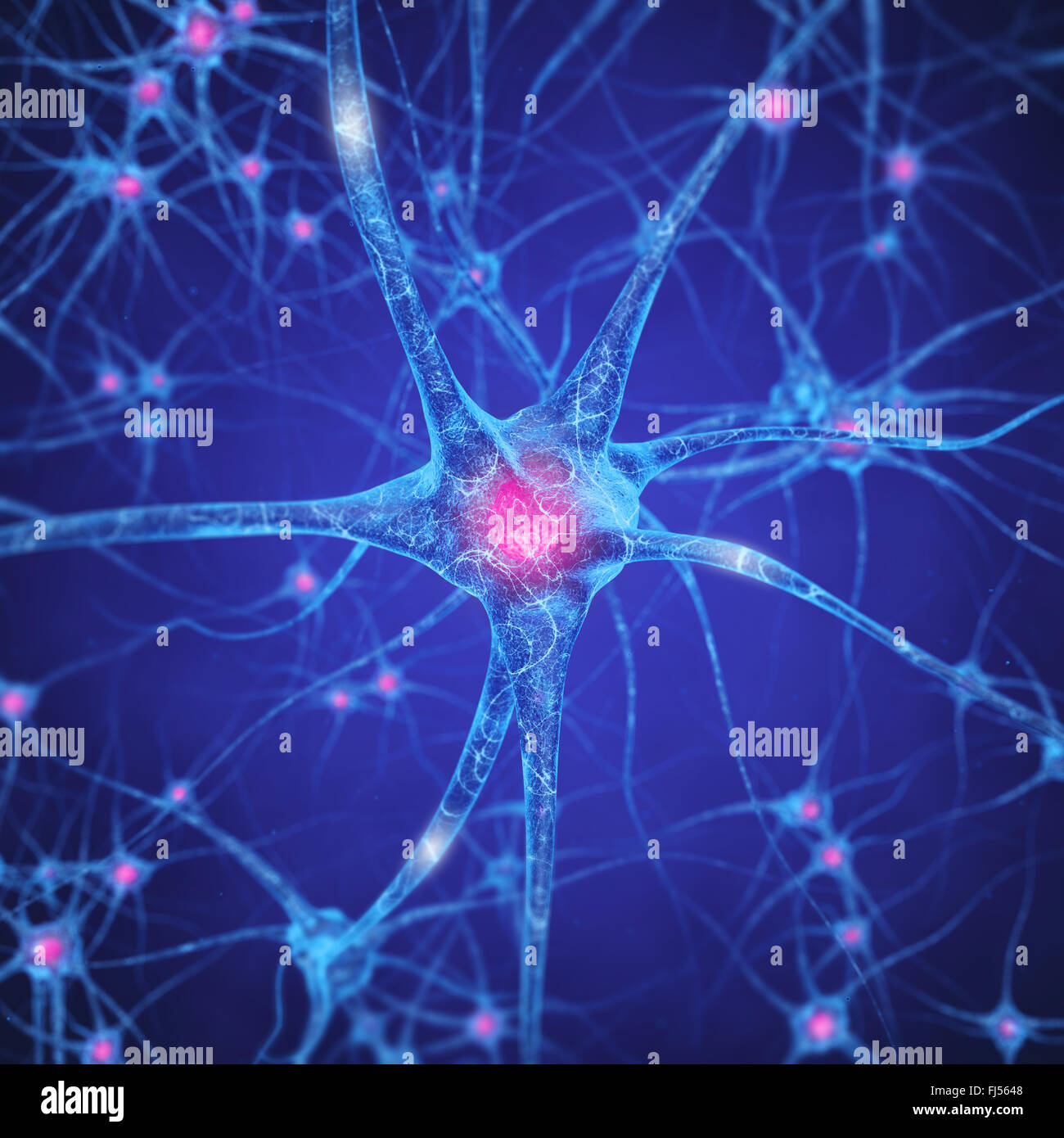 Réseau de neurones , les cellules du cerveau humain , les neurones du système nerveux central , Banque D'Images