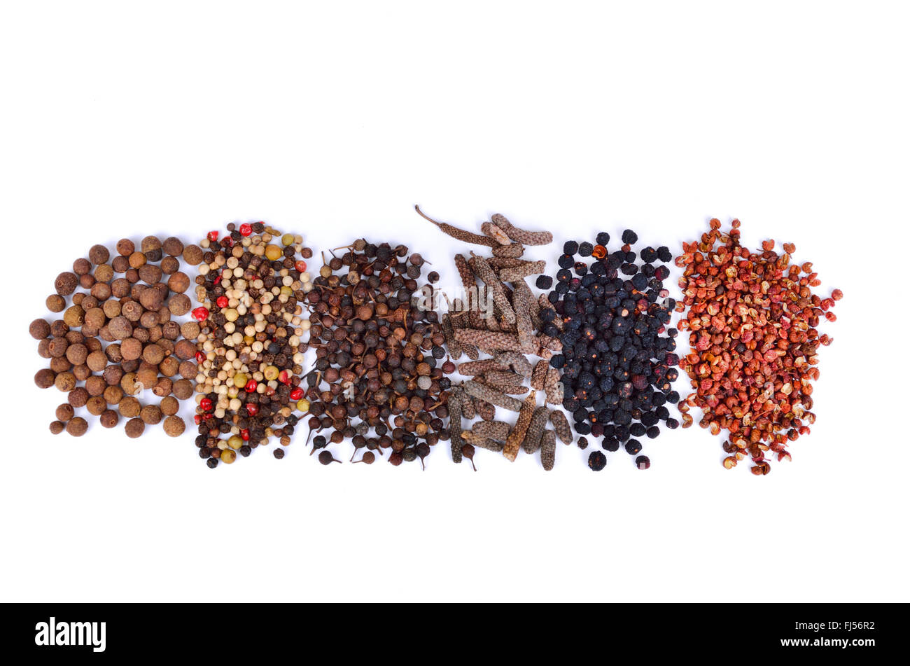 Différentes sortes de poivre : pimento, coloré, Poivre Cubèbe, poivre long, poivre de Tasmanie et de poivre de Sichuan Banque D'Images