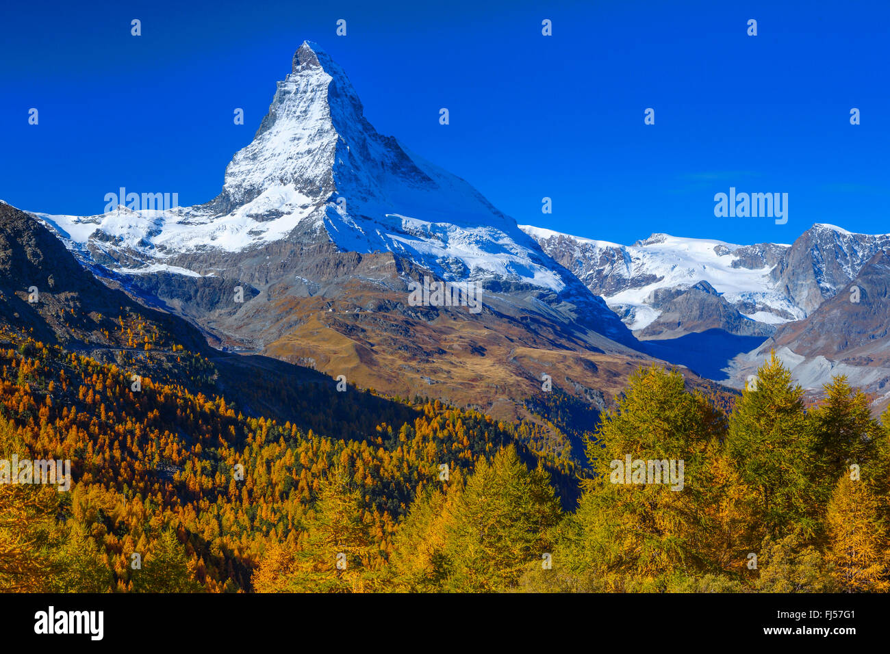 Matterhorn et mélèzes en automne, Suisse, Valais Banque D'Images