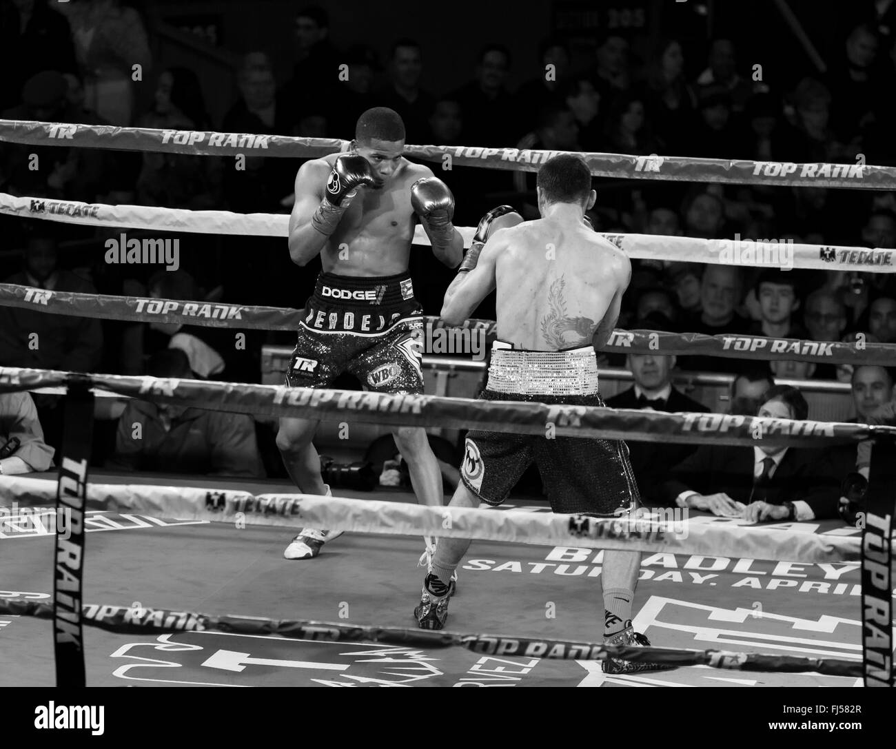 New York, NY USA - 27 Février 2016 : Felix Verdejo de Porto Rico se bat Willian Silva du Brésil pour Championnat WBO Latino dans la case catégorie léger au Madison Square Garden Banque D'Images