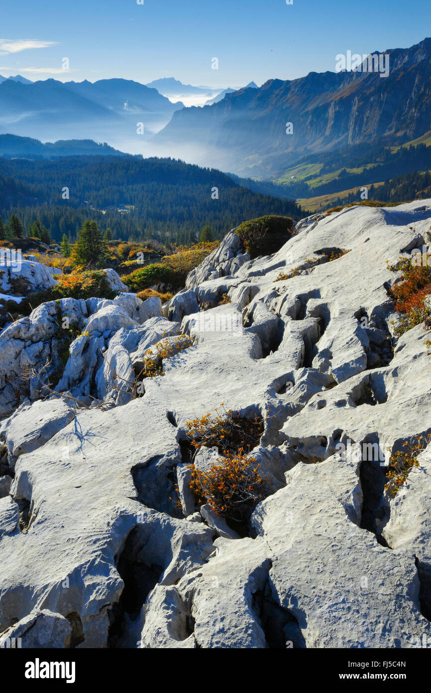 Au paysage karstique Pragelpass, Suisse, Berner Alpen Banque D'Images