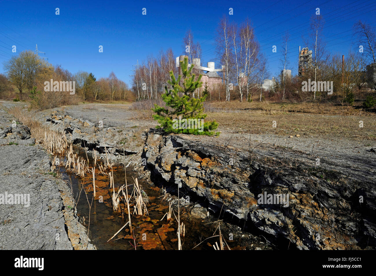 Fossé de friche industrielle, l'Allemagne, Bade-Wurtemberg Banque D'Images