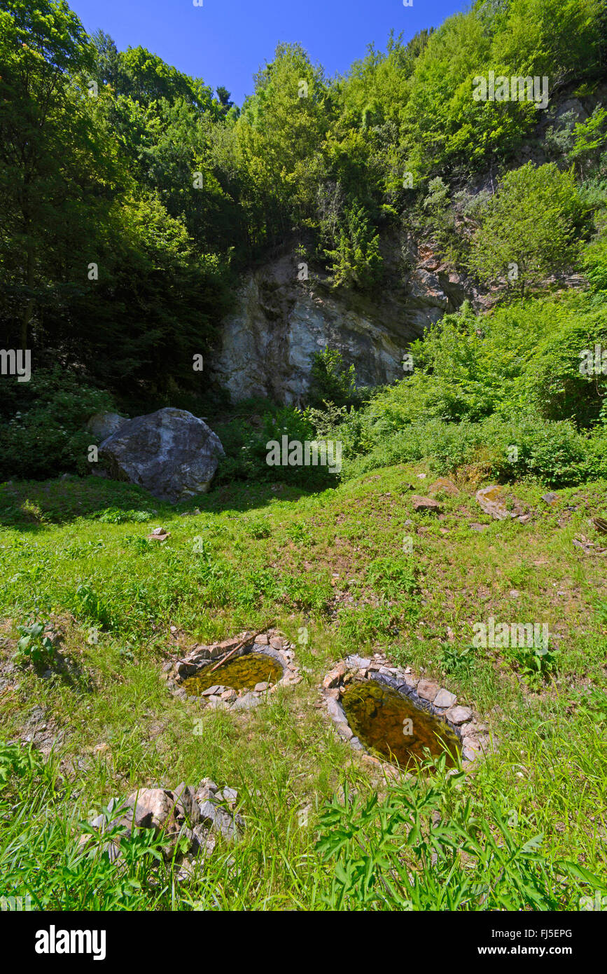 Crapaud à ventre jaune, crapaud yellowbelly, fire-toad (Bombina variegata), des étangs artificiels pour les amphibiens dans l'ancien puits en pierre, l'Allemagne, la Bavière, le Parc National de la forêt bavaroise, Donauleiten Banque D'Images