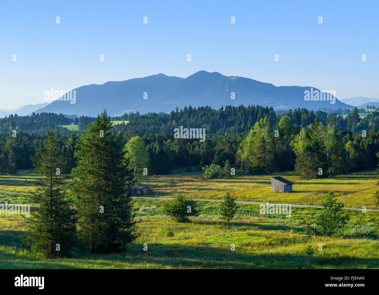 Vue de Breiten Filz aux Alpes, en Allemagne, en Bavière, Oberbayern, Haute-Bavière Banque D'Images