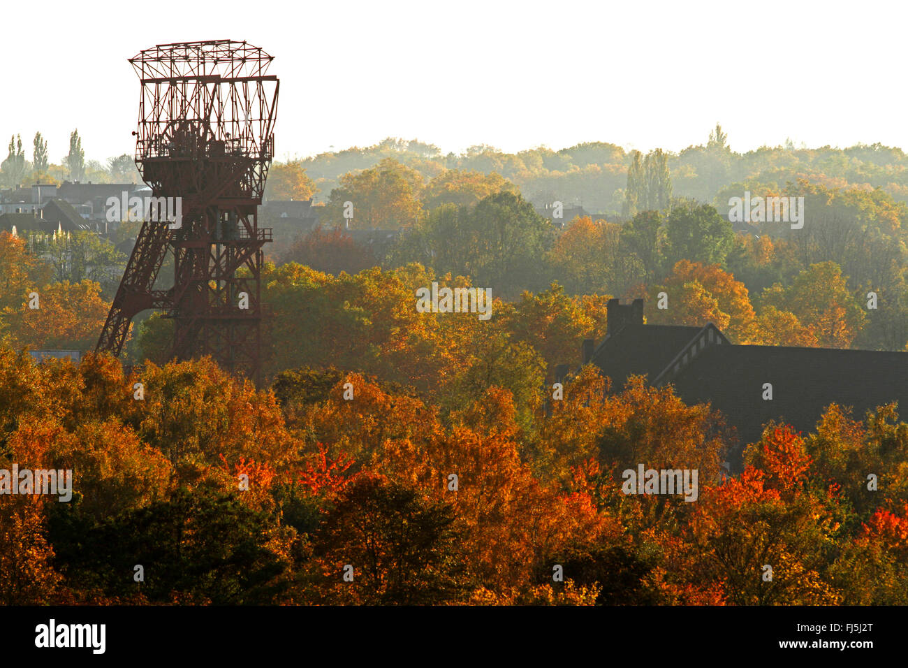 Cadre de fosse Bonifacius de mine de charbon à l'automne, l'Allemagne, en Rhénanie du Nord-Westphalie, région de la Ruhr, à Essen Banque D'Images