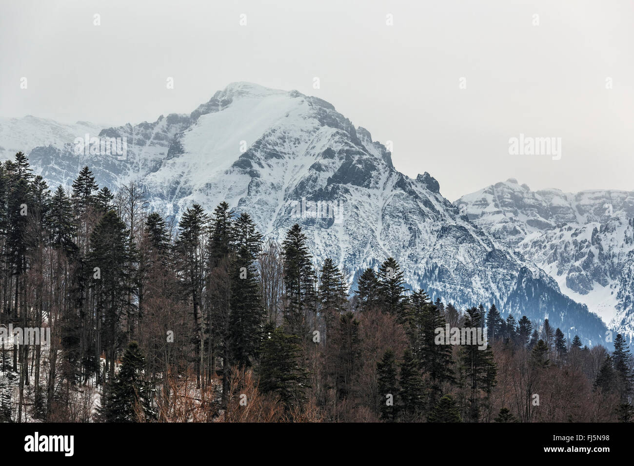 Paysage d'hiver avec matin brumeux sur les majestueuses montagnes de Bucegi sommets couverts de neige, Predeal, Roumanie. Banque D'Images