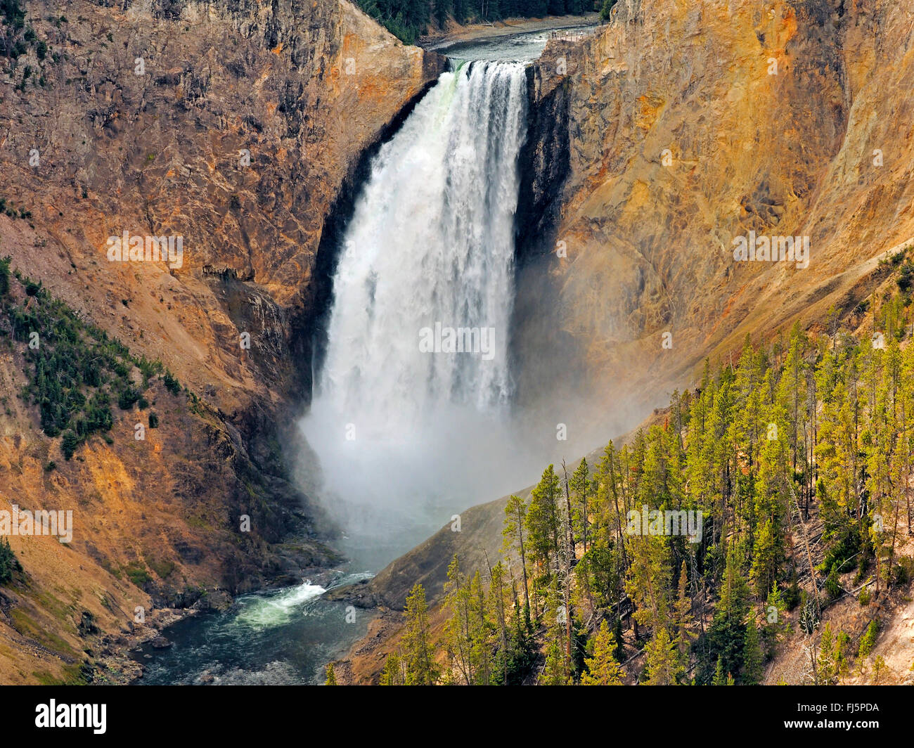 Grand Canyon de la Yellowstone, Lower Falls, États-Unis d'Amérique, Wyoming, Yellowstone National Park Banque D'Images