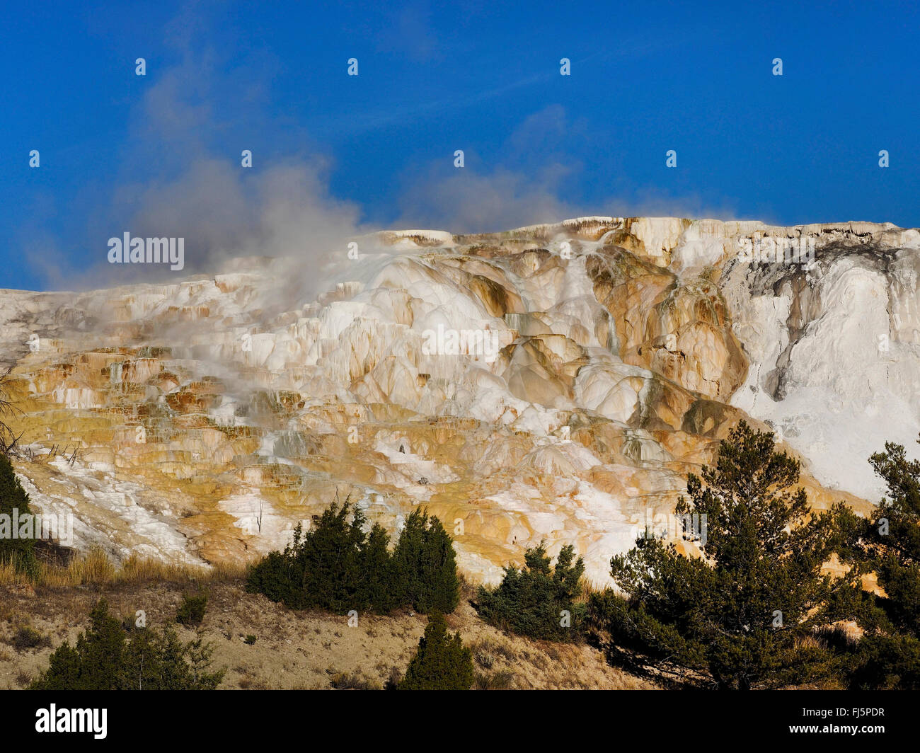 Sinter terraces de Mammoth Hot Springs, États-Unis d'Amérique, Wyoming, Yellowstone National Park, Mammoth Hot Springs Banque D'Images