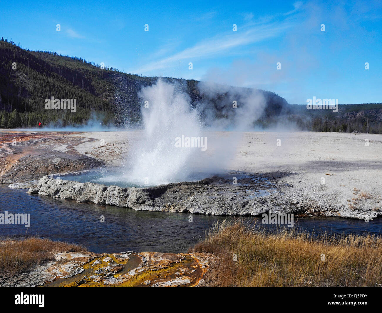 Cliff Geyser, Black Sand basin, Wyoming, USA, le Parc National de Yellowstone Banque D'Images