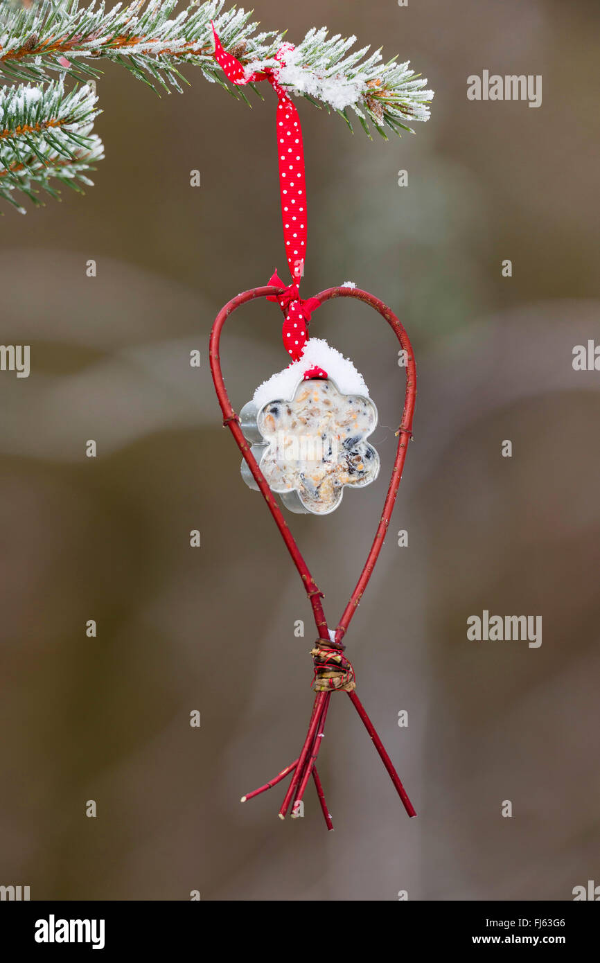 L'alimentation des oiseaux faits à la main dans un biscuit cutter, coeur de hook appuyez sur les brindilles de cornel, Allemagne Banque D'Images