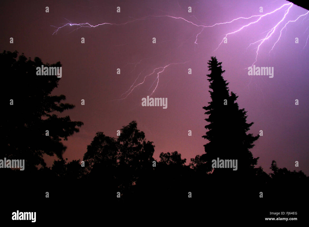 La foudre de la chaleur de l'orage la nuit, Allemagne Banque D'Images