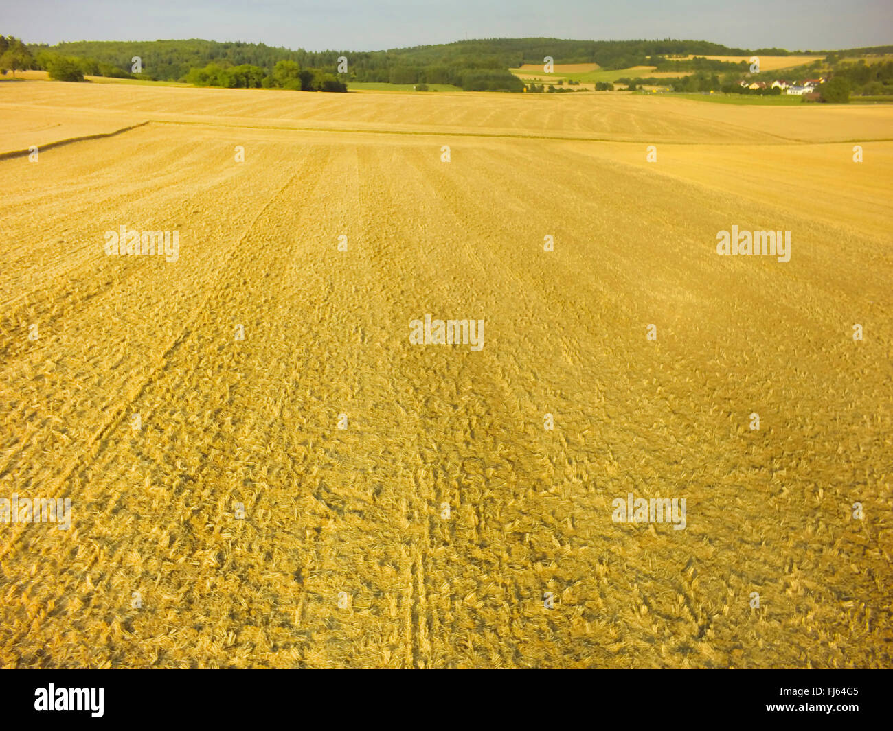 Champ de blé récoltés, de la photo, 23.07.2015, vue aérienne , Allemagne, Bade-Wurtemberg, Odenwald Banque D'Images