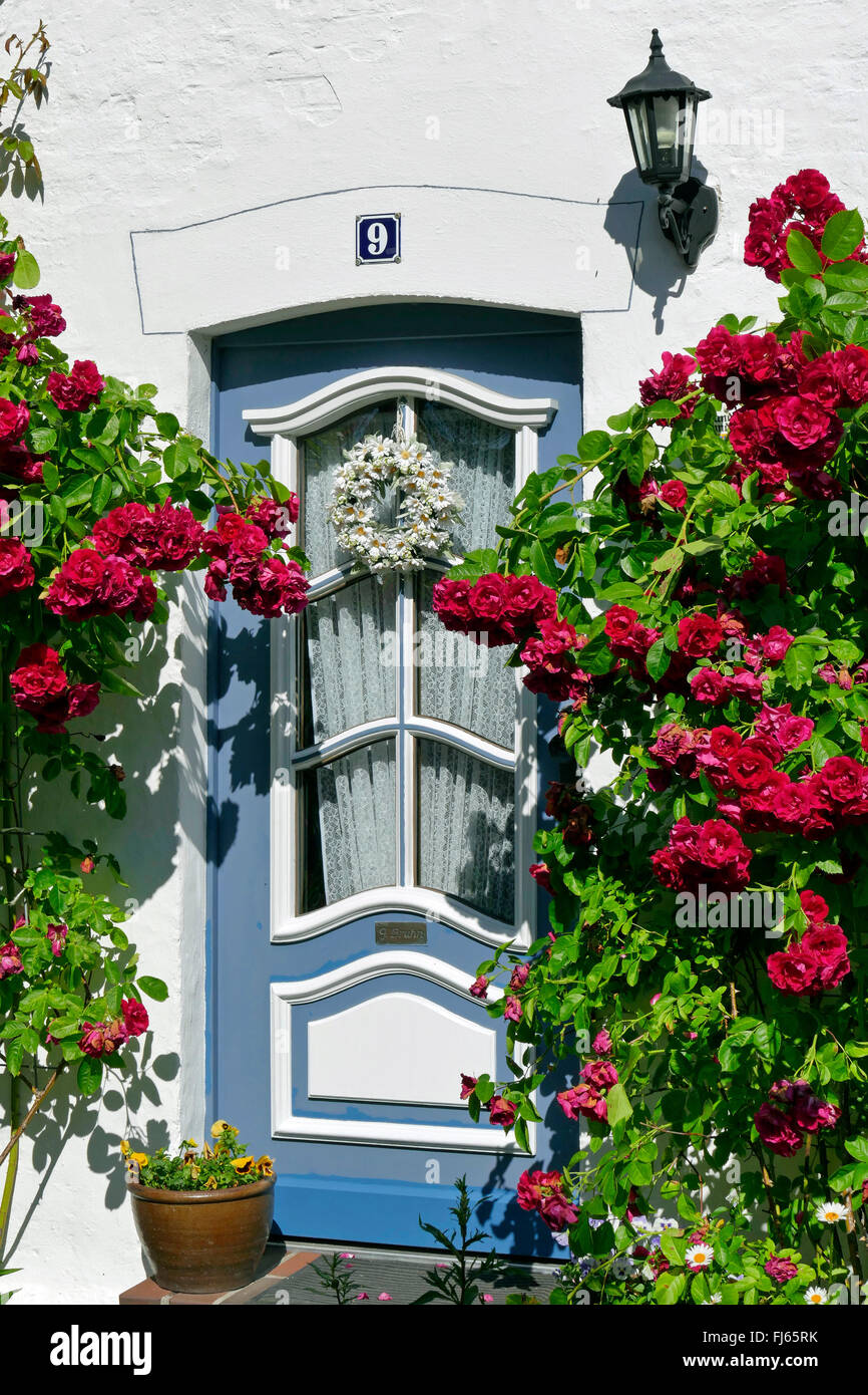 Porte avant avec fleurs de rose rouge arbres, Haus Luehr de 1868, l'Allemagne, Schleswig-Holstein, dans le Nord de la Frise, Tating Banque D'Images