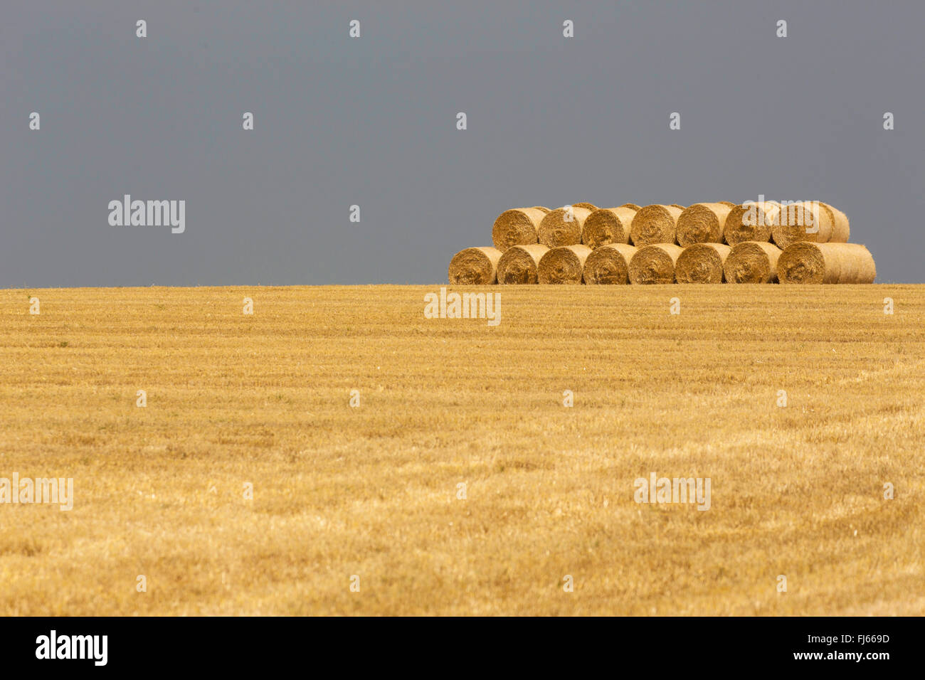 Le blé tendre, cultivé du blé (Triticum aestivum), récoltées en champ avec des balles de paille, Allemagne, Bavière, Oberbayern, Haute-Bavière Banque D'Images