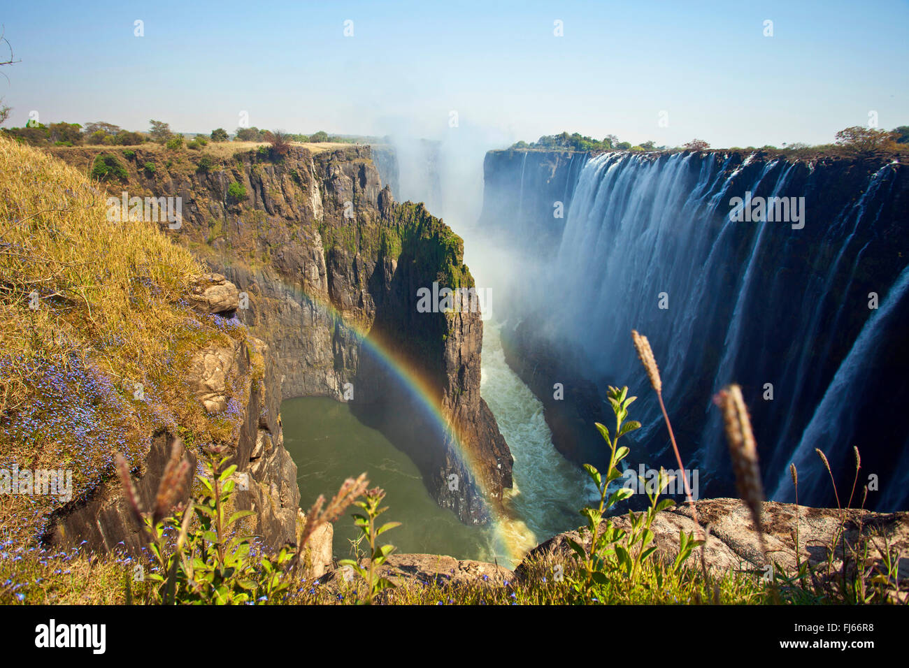 Les chutes Victoria, la nature mondiale du patrimoine, Zambie, Victoria Falls National Park Banque D'Images