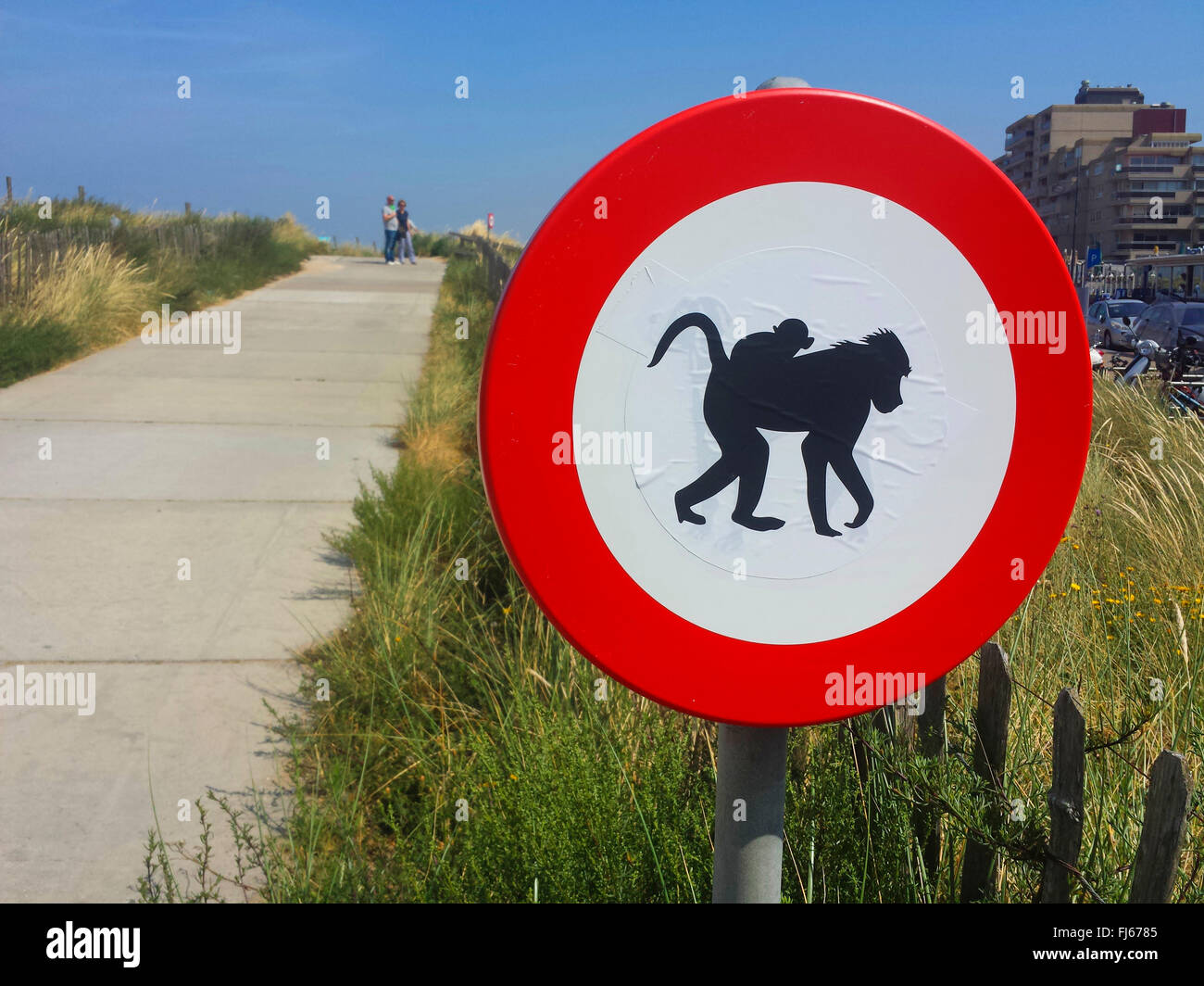 'Aucune admission de singes" interdiction signe en chemin vers la plage, Pays-Bas, Nordwijk Banque D'Images