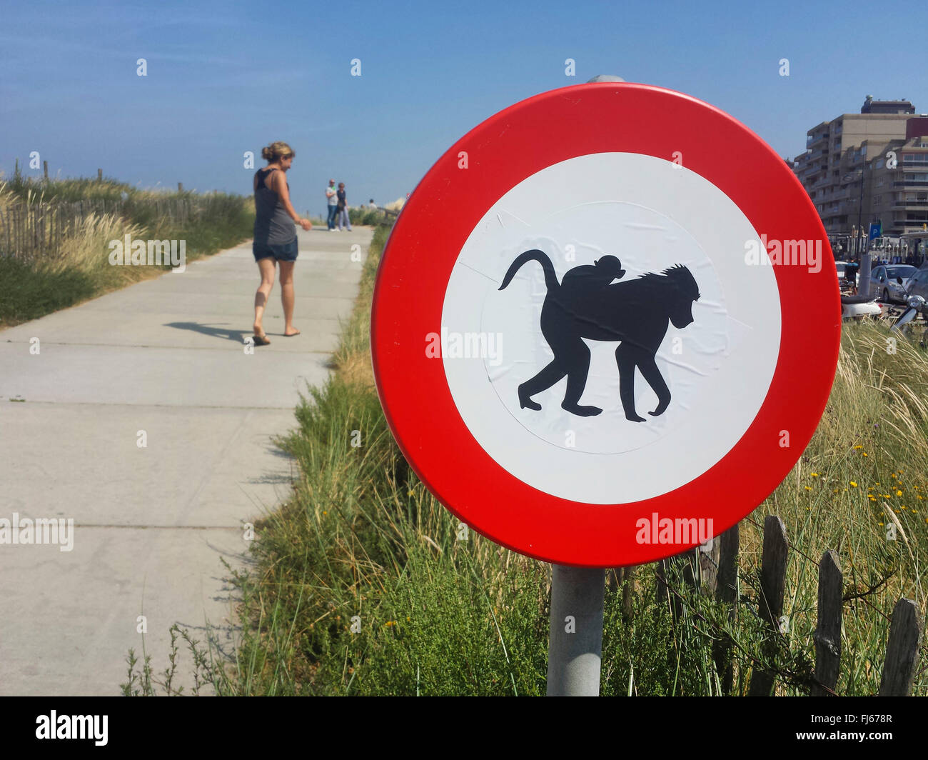 'Aucune admission de singes" interdiction signe en chemin vers la plage, Pays-Bas, Nordwijk Banque D'Images