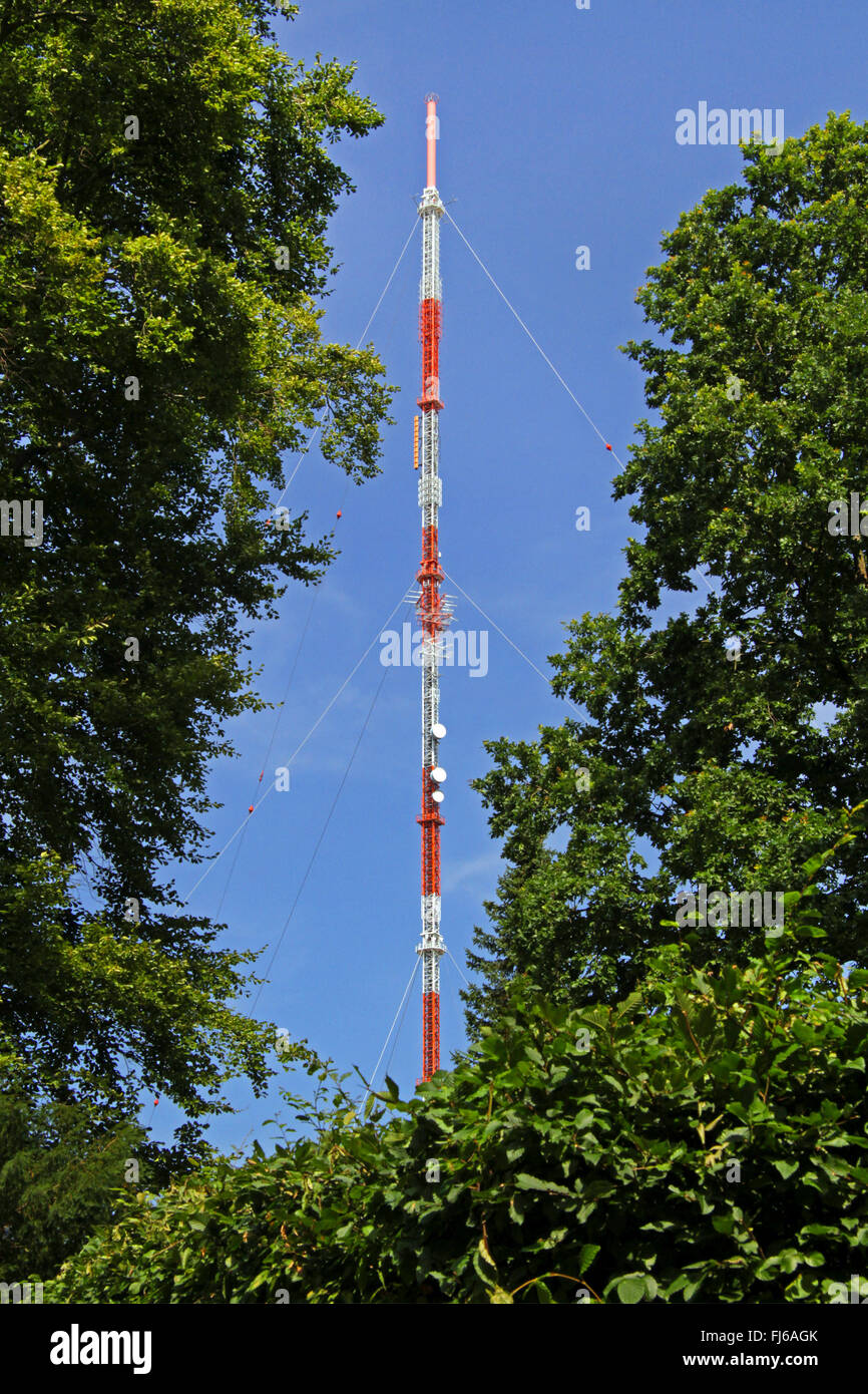 Langenberg-Hordt mât radio Langenberg, tour de transmission, l'Allemagne, en Rhénanie du Nord-Westphalie, Langenberg, Velbert Banque D'Images
