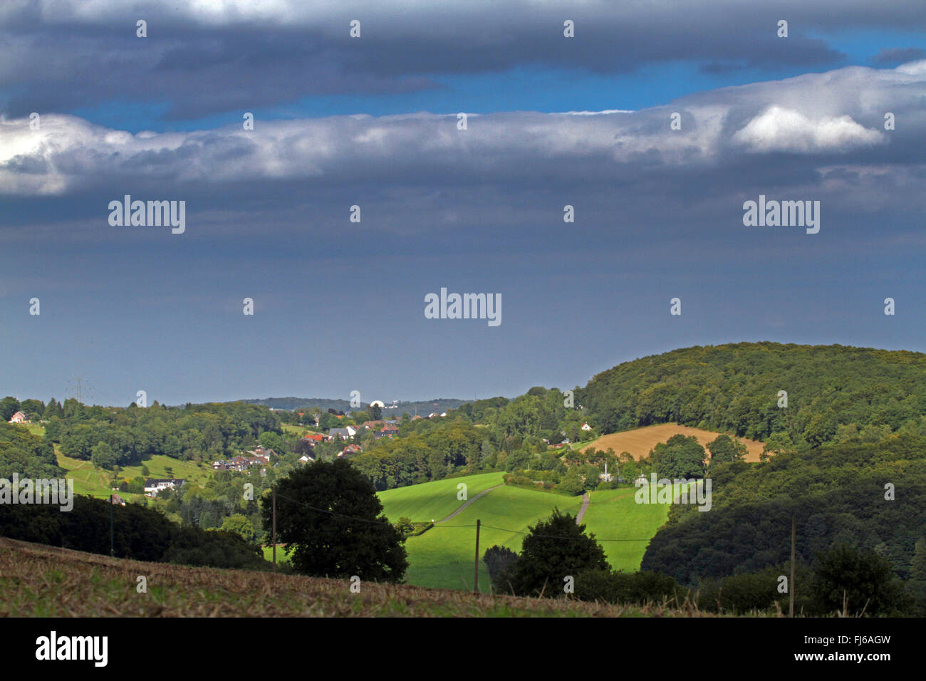 Champs, pâturages et forêt en été, l'Allemagne, en Rhénanie du Nord-Westphalie, région du Bergisches Land Banque D'Images