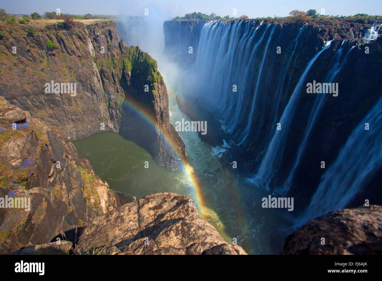 Les chutes Victoria, la nature mondiale du patrimoine, Zambie, Victoria Falls National Park Banque D'Images