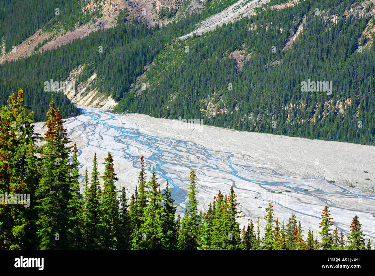 Au glacier Peyto Lake , Canada, Alberta, parc national de Banff Banque D'Images