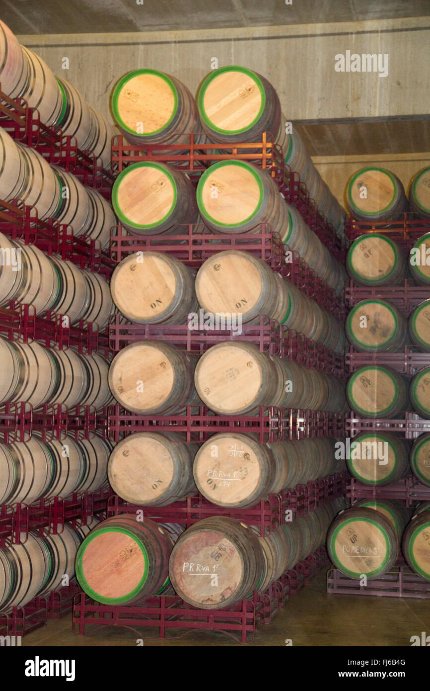 Vin vieillit en fûts de chêne est stockés dans des casiers à l'établissement vinicole de Marques de Riscal Rioja, Espagne Banque D'Images