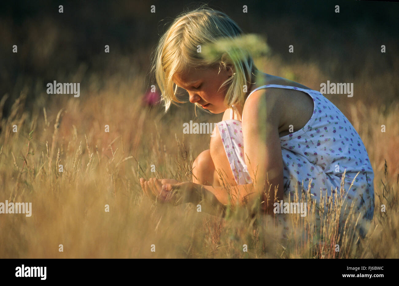 Girl catching sauterelles sur un pré, Allemagne Banque D'Images