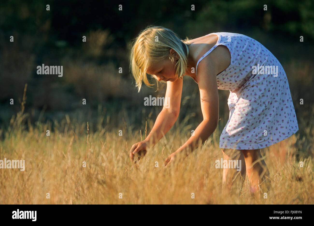 Girl catching sauterelles sur un pré, Allemagne Banque D'Images