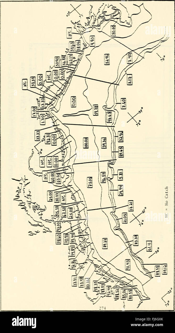 Distribution et l'abondance de l'évolution de 22 espèces choisies au milieu atlantique à partir de relevés au chalut de fond au cours de 1967-1979 - Rapport final de la U.S. Minéral(s) Management Service (1985) Banque D'Images