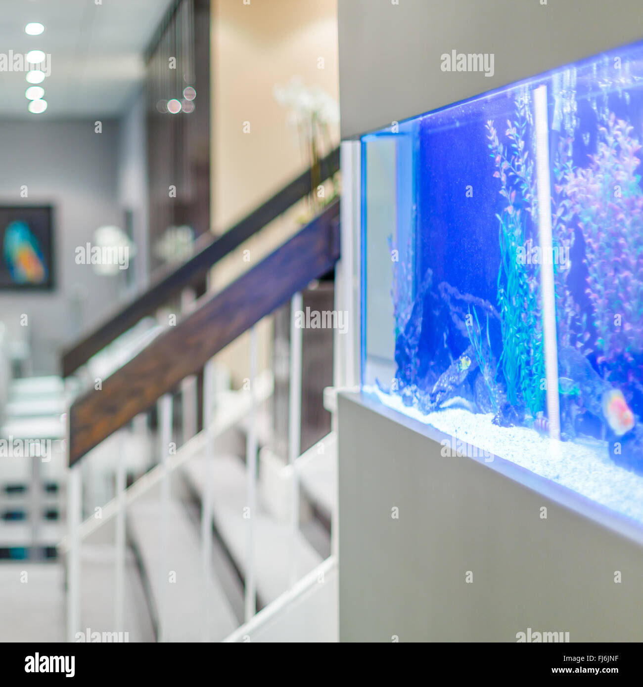Office interior design avec aquarium Banque D'Images